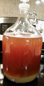 1 gallon batch of beer