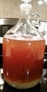 1 gallon batch of beer
